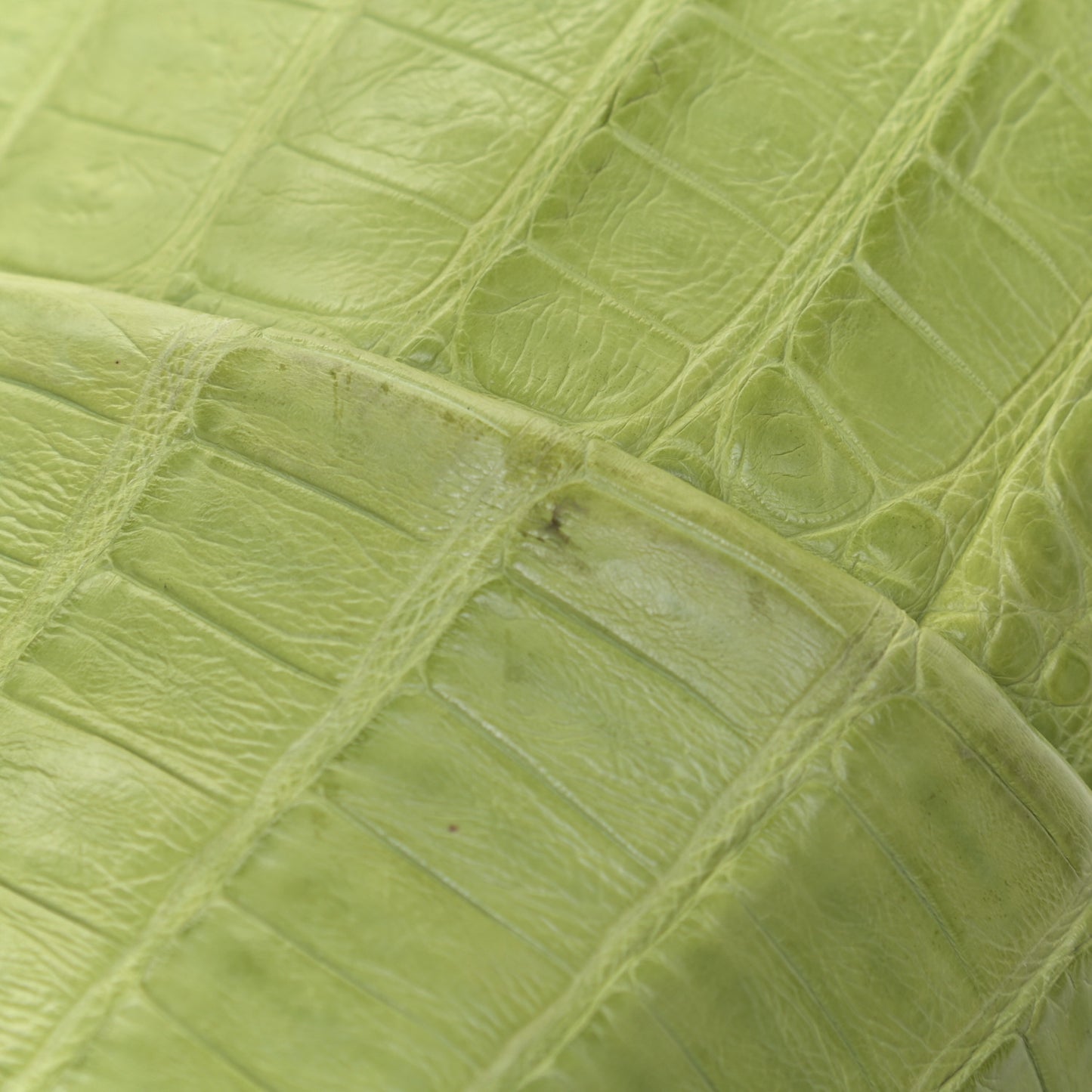 Crocodile Tote Lime