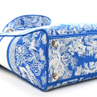 Christian Dior Toile de Jouy Embroidered Large Lady D-Lite Fluorescent Blue 9 of 11