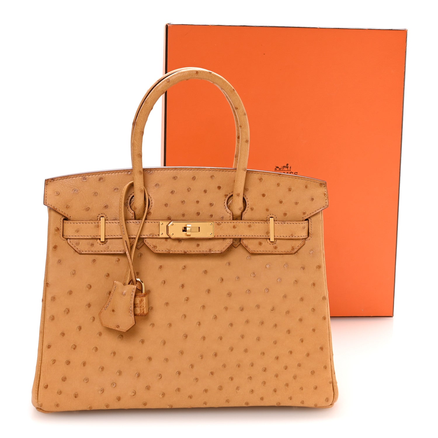 Hermes Ostrich Birkin 30 Gold 10 of 10