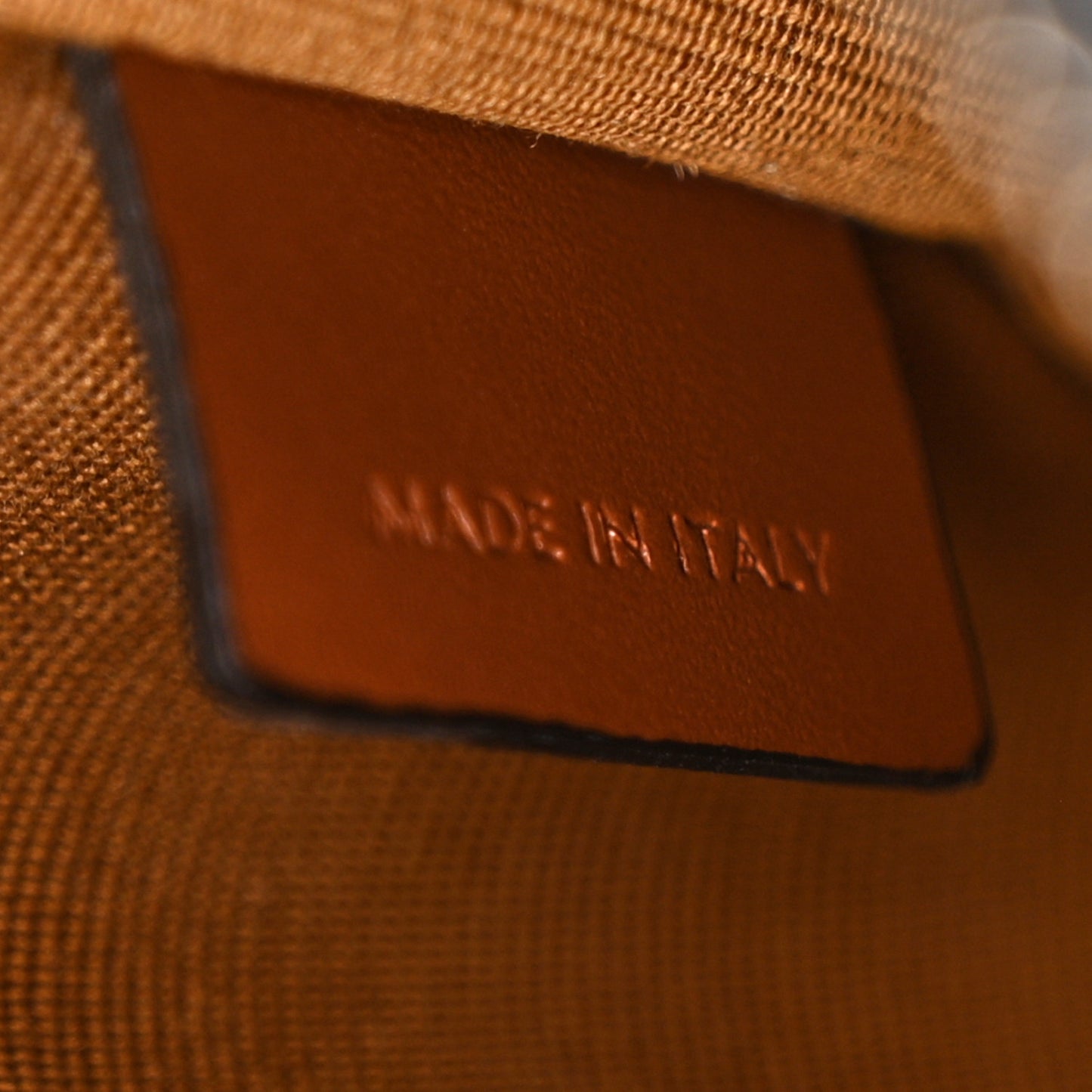 Triomphe Canvas Calfskin Ava Shoulder Bag Tan