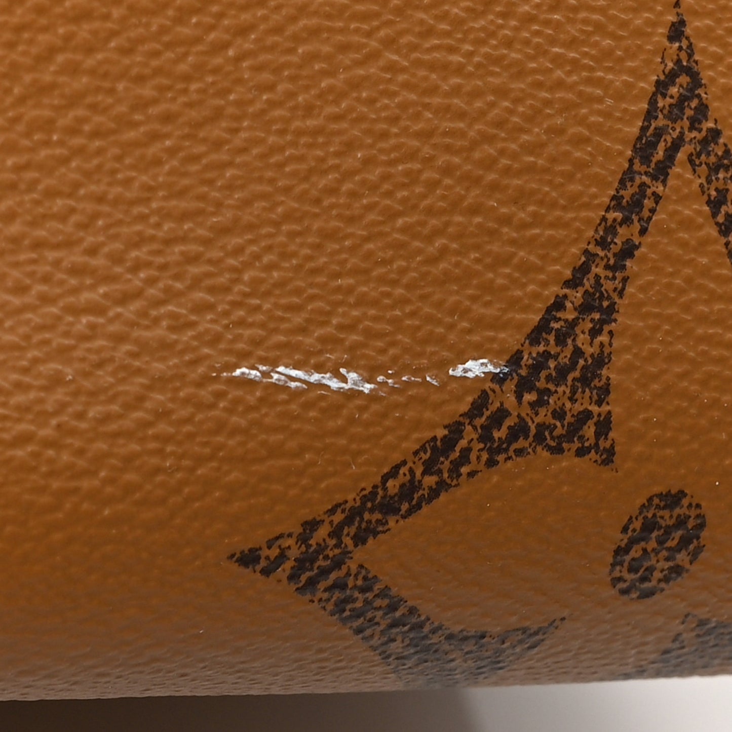 Reverse Monogram Giant Onthego MM