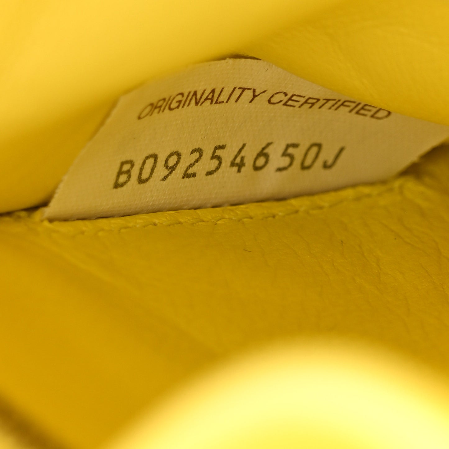 Nappa Maxi Intreccio Padded Cassette Crossbody Bag Sherbert