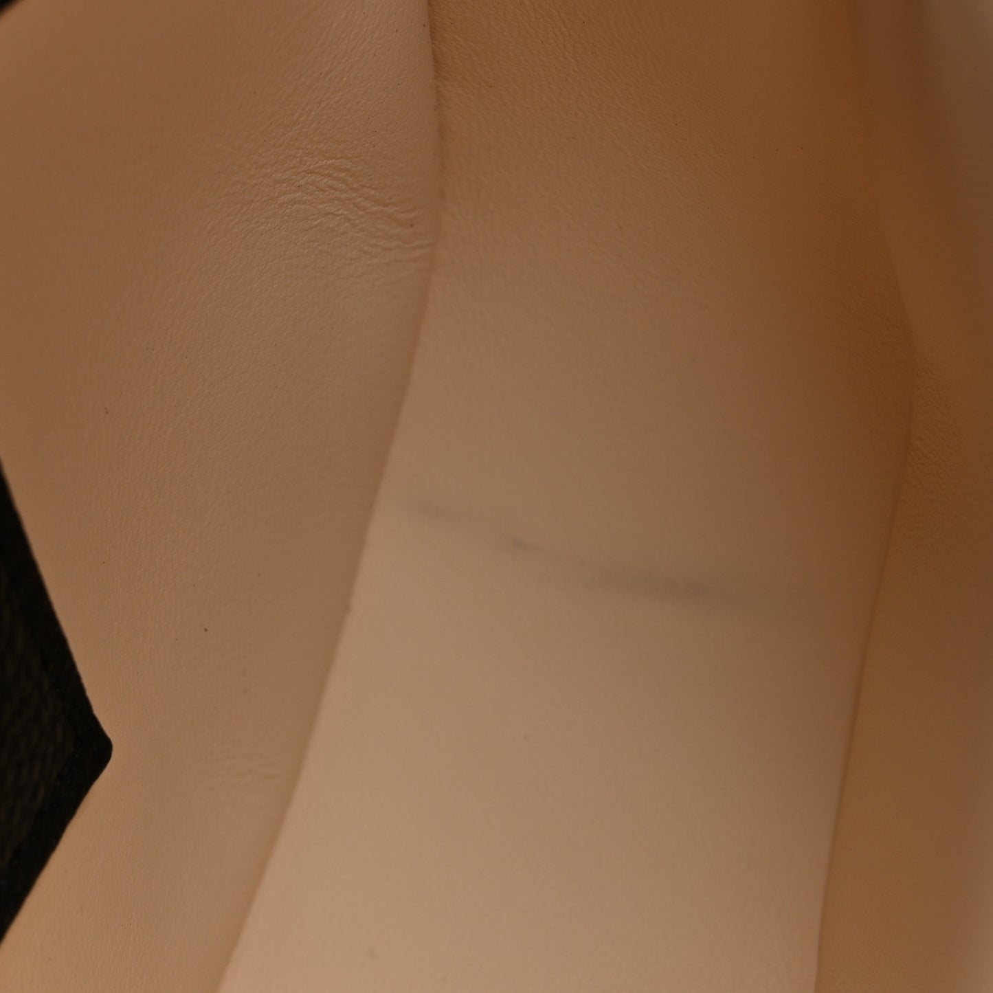 Grained Calfskin LV Pont 9 Soft MM Black