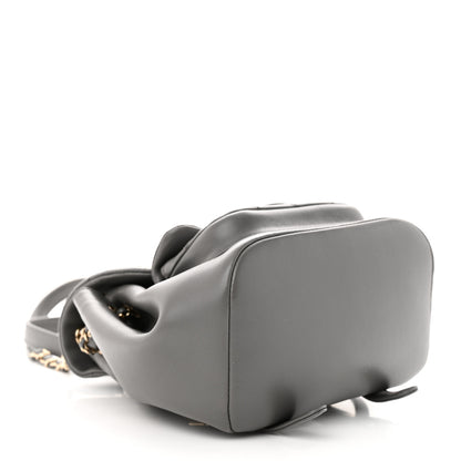 Chanel Lambskin Quilted Small Duma Drawstring Backpack Grey 4 of 11