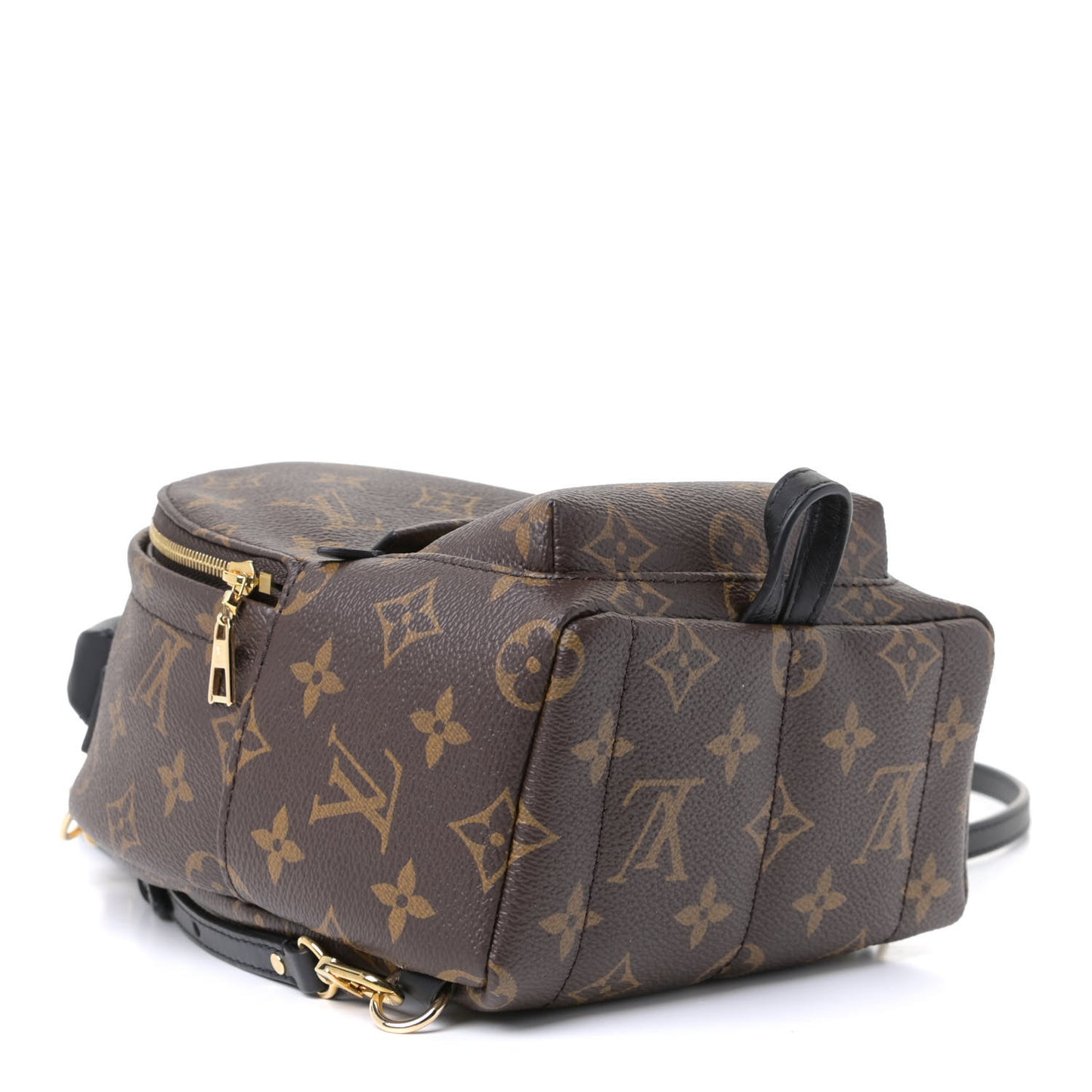 Monogram Palm Springs Backpack Mini