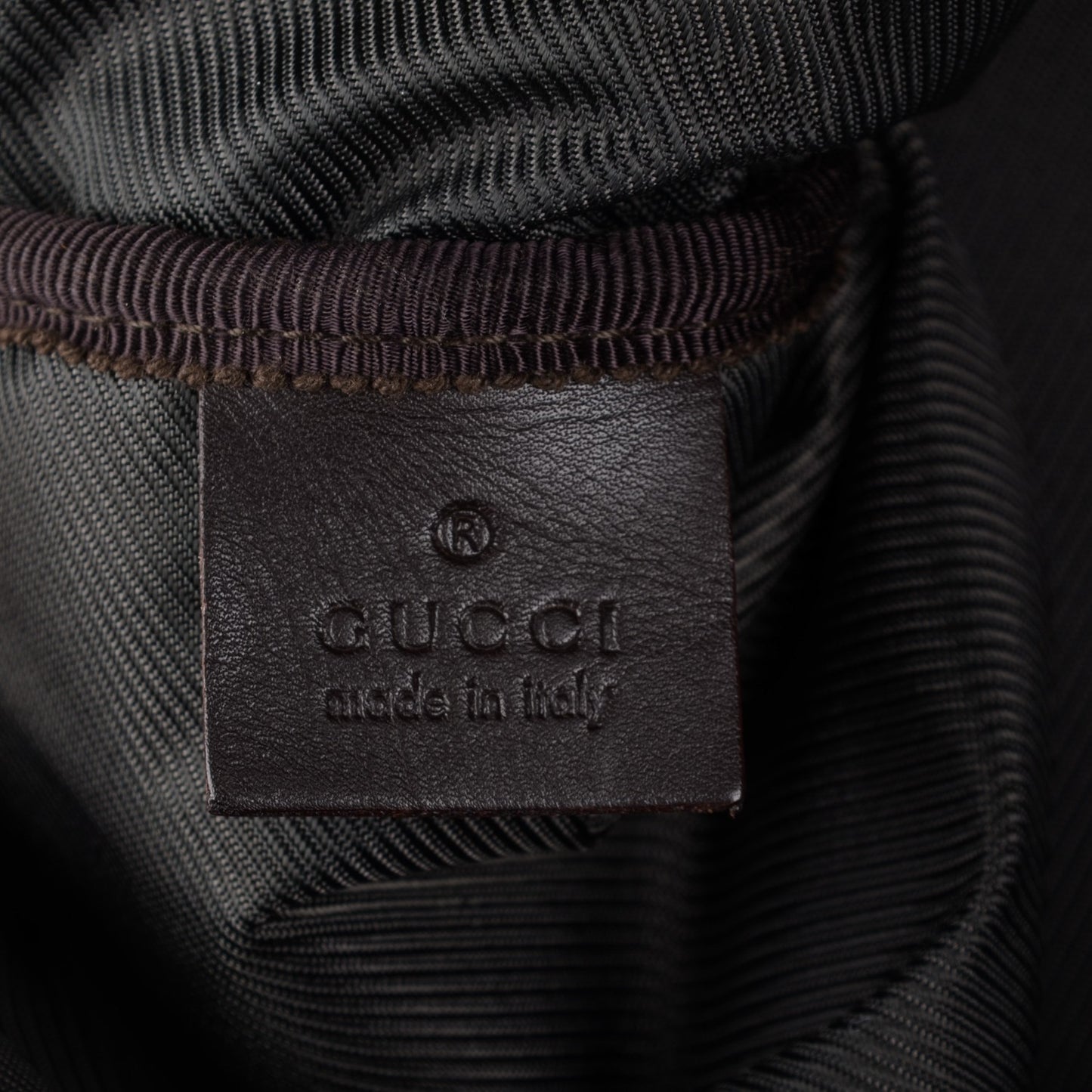 Monogram Web Dog Carrier
