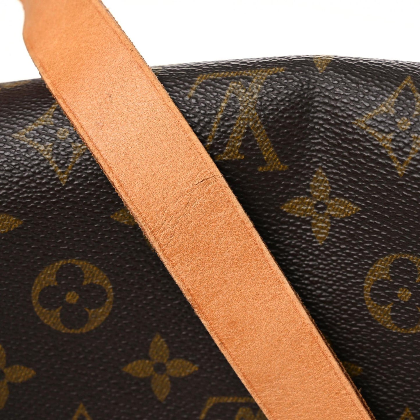 Monogram Cartouchiere 22