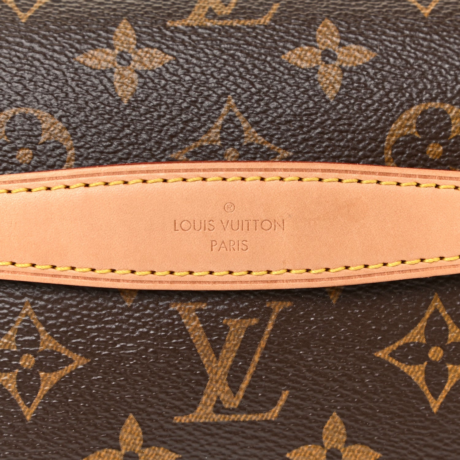 Louis Vuitton Monogram Bumbag 12 of 14