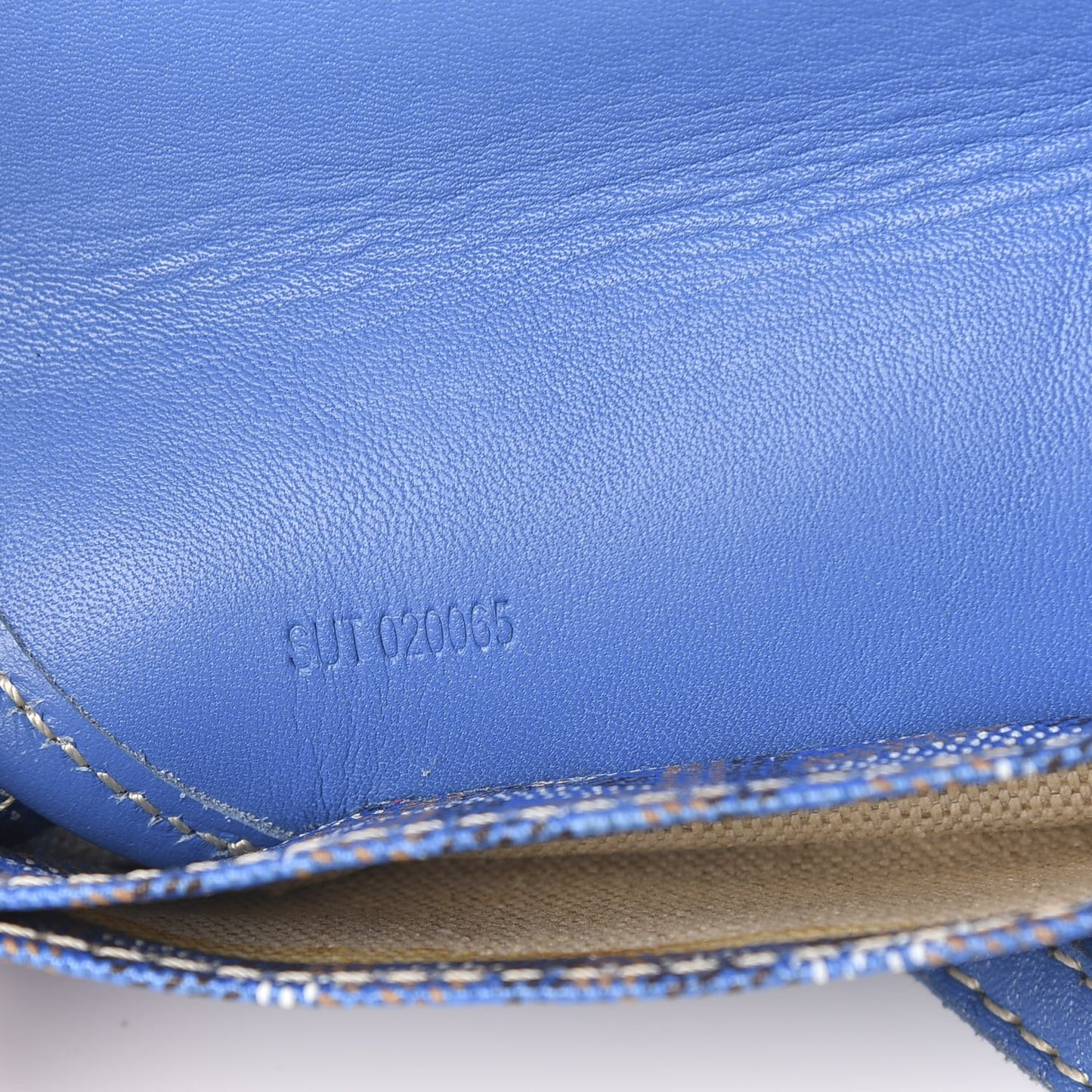 Goyardine Saint Louis PM Sky Blue
