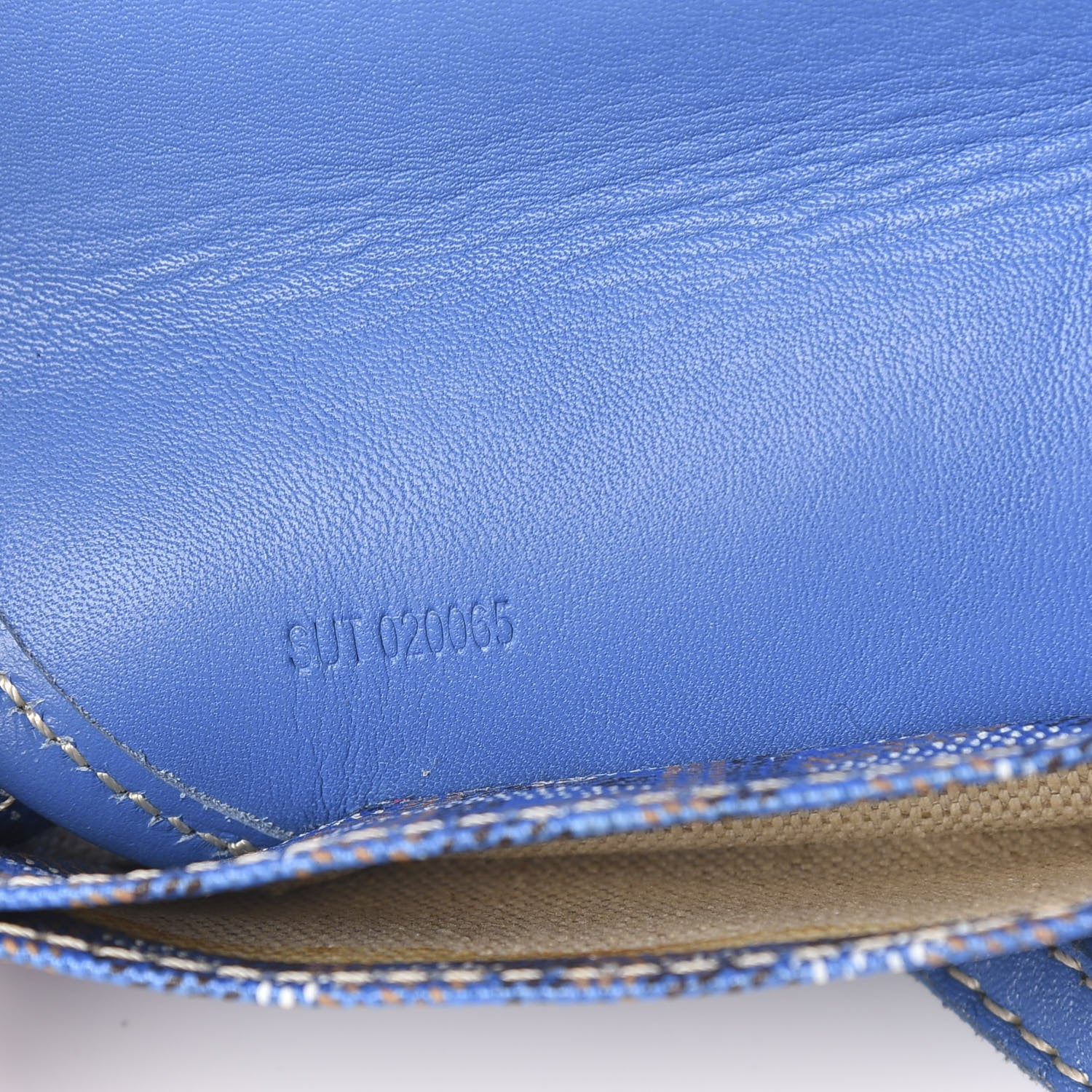Goyard Goyardine Saint Louis PM Sky Blue 7 of 14