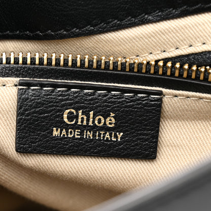 Chloe Suede Calfskin Medium Faye Backpack Black 5 of 9