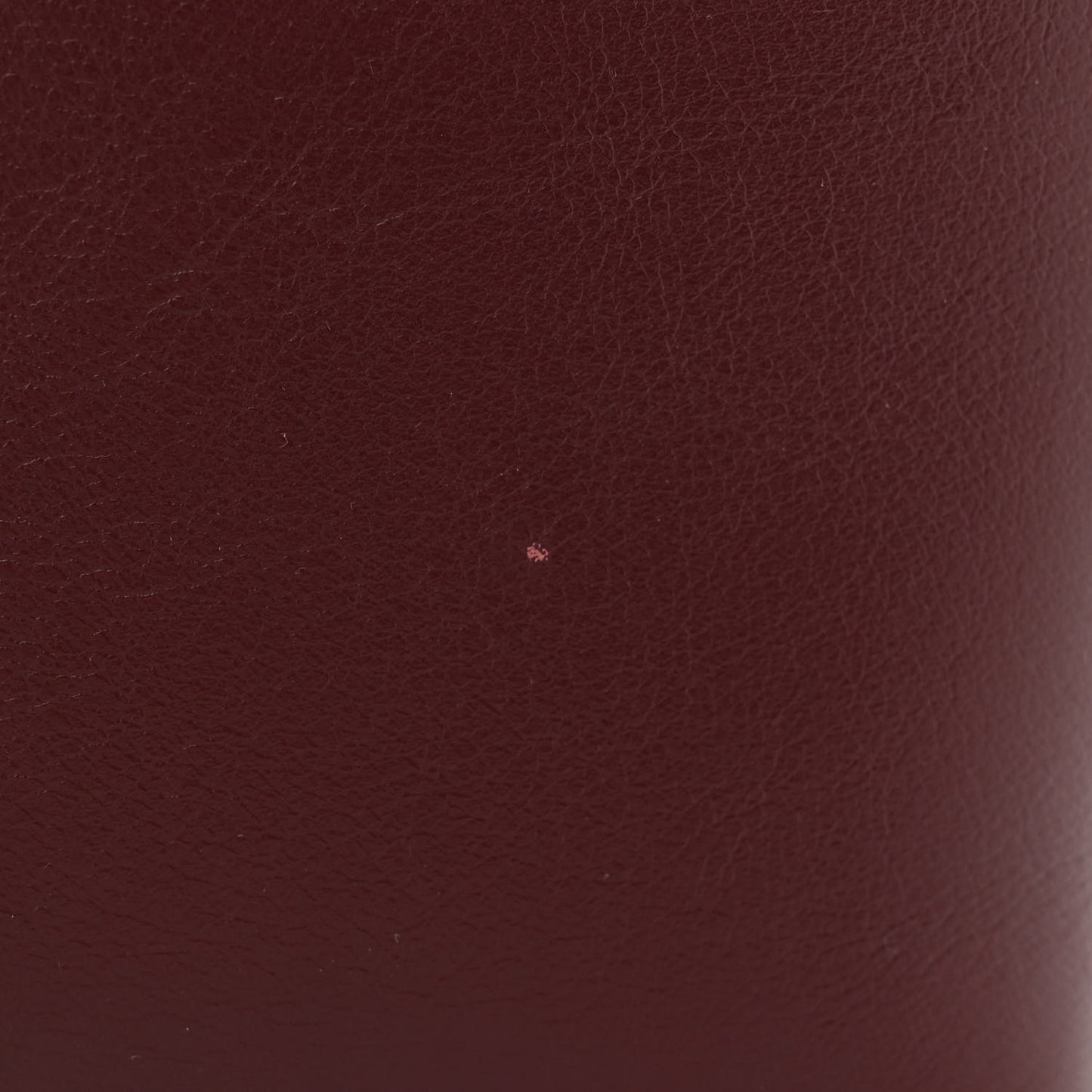 Smooth Calfskin Small Roy Bucket Bag Earthy Red