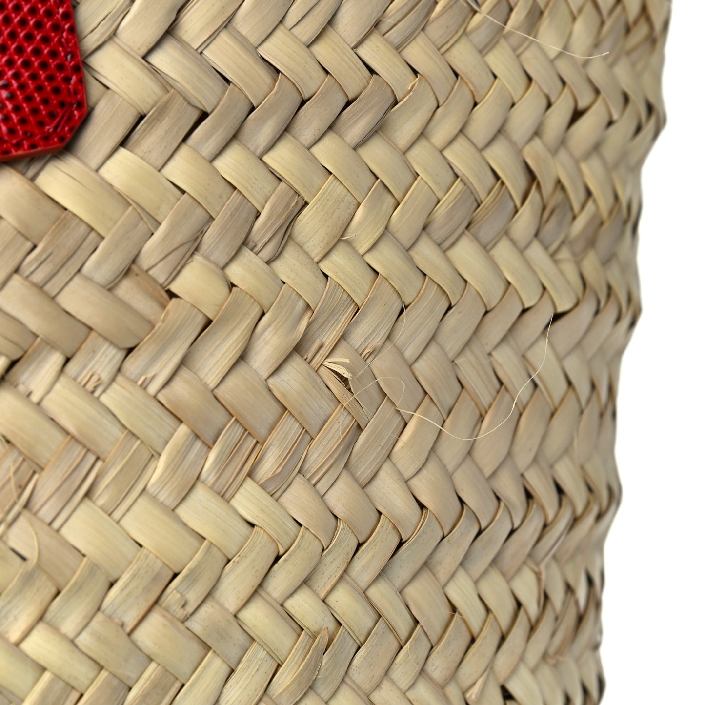 Woven Raffia Lizard Kendra Logo Tote Red Multicolor