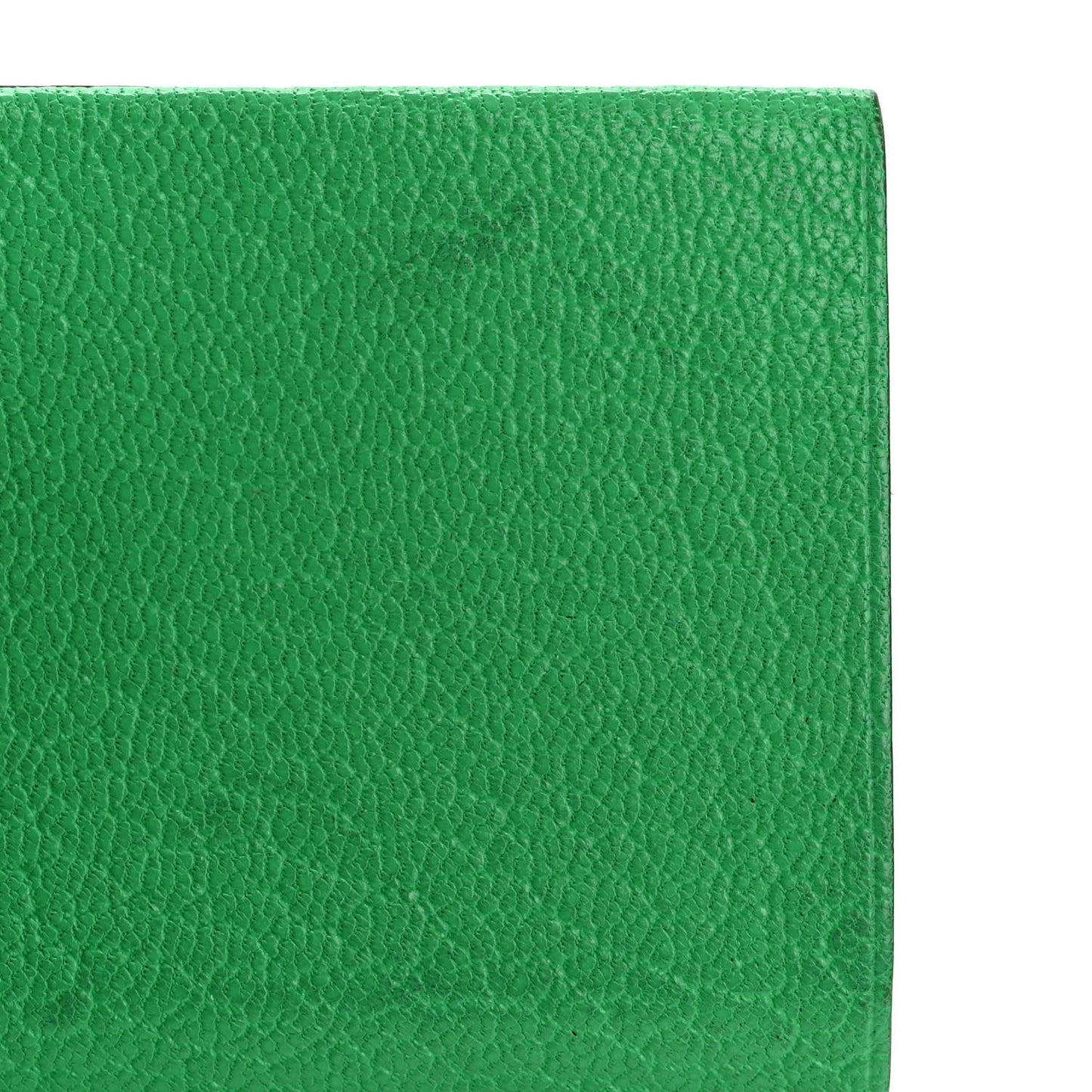 Chevre Mysore Sellier Card Holder Vert Comics Vert Fizz