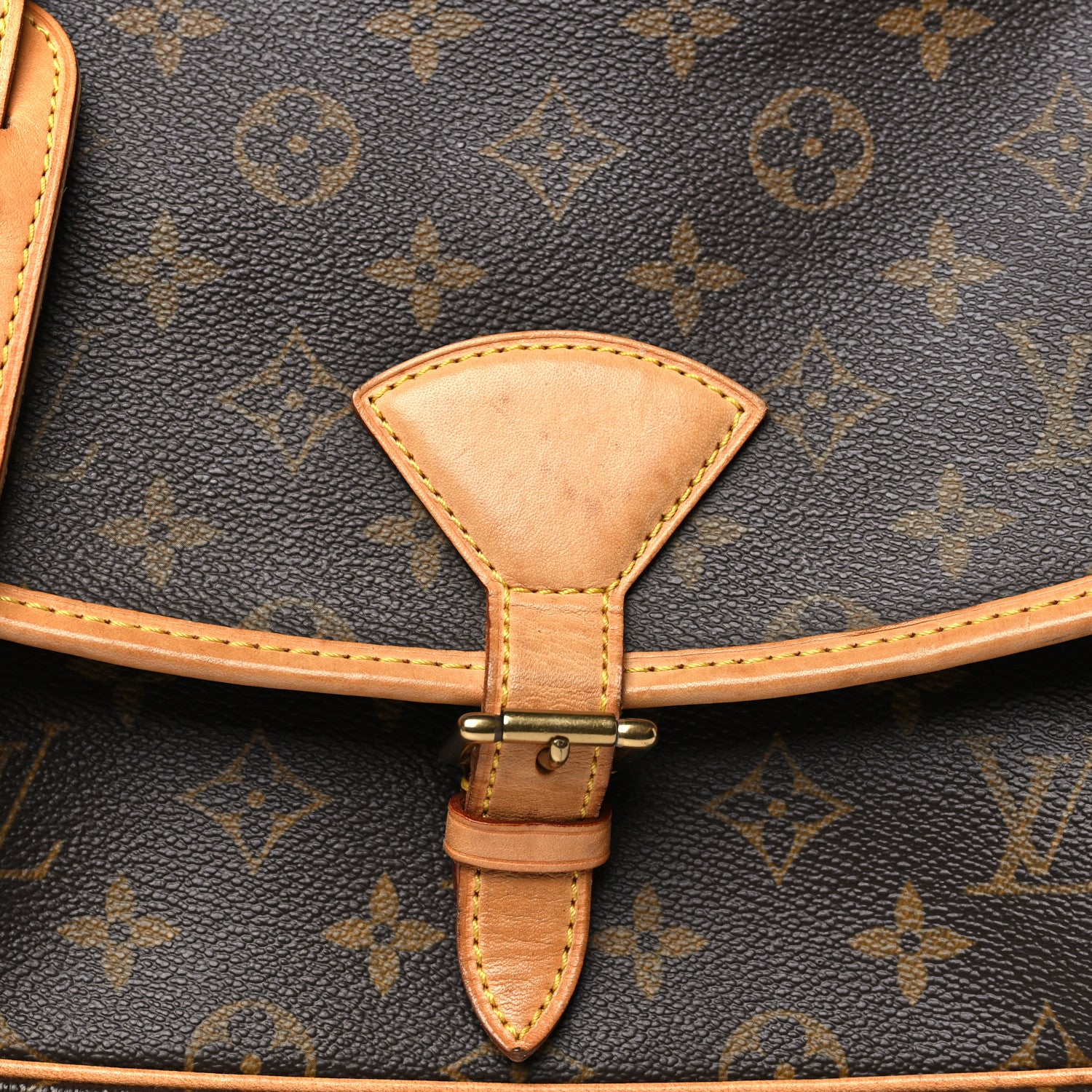 Louis Vuitton Monogram Sologne 7 of 11