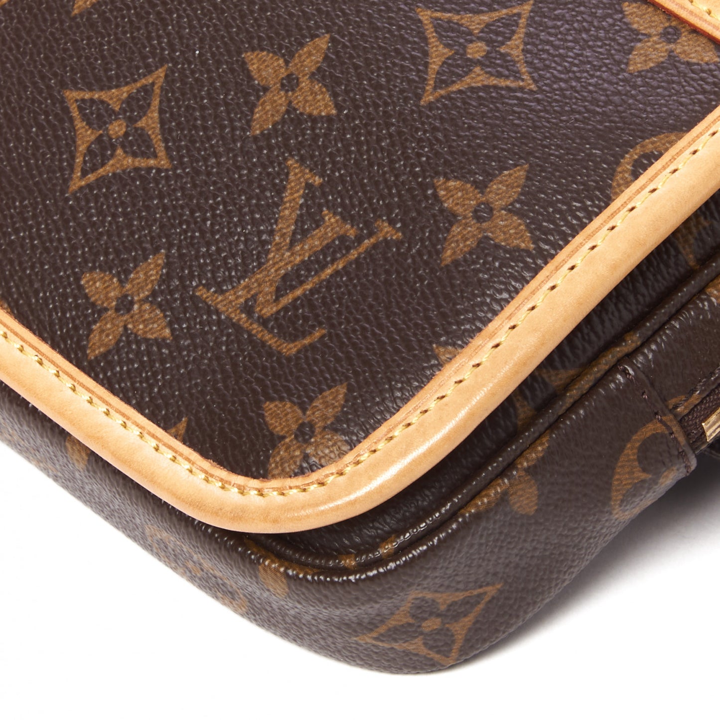 Monogram Bosphore Bum Bag