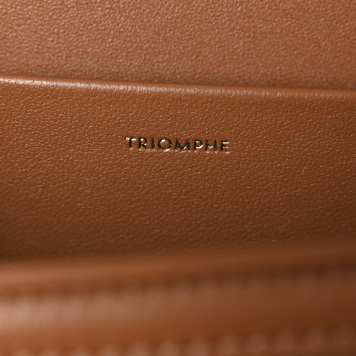 Triomphe Canvas Calfskin Medium Triomphe Bag Tan