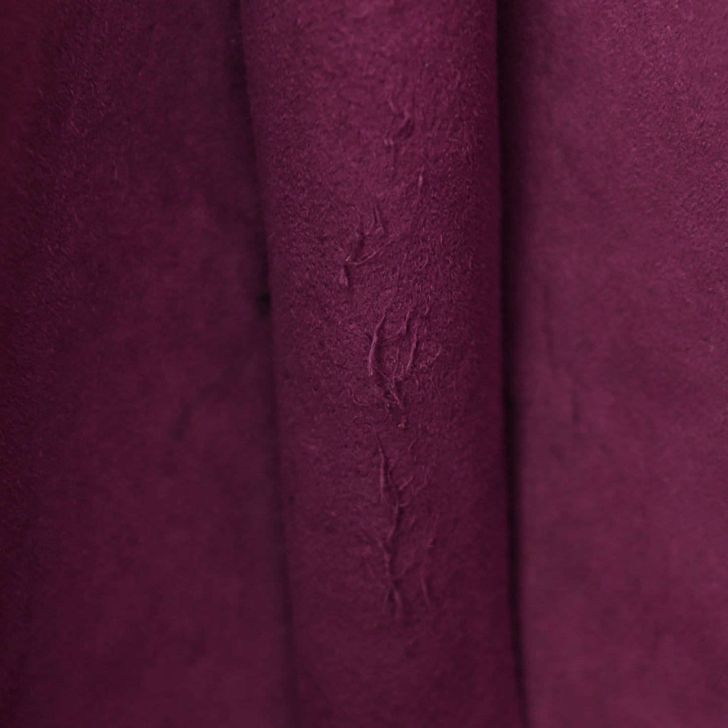 Epi Saint Jacques GM Tassil