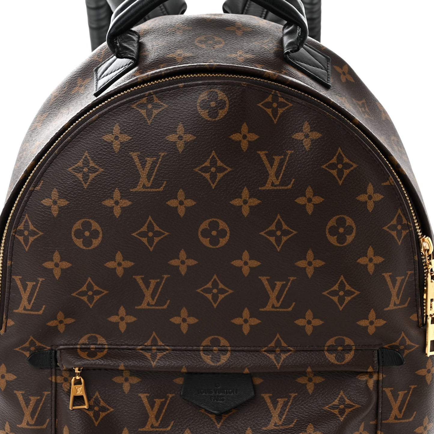 Monogram Palm Springs Backpack MM