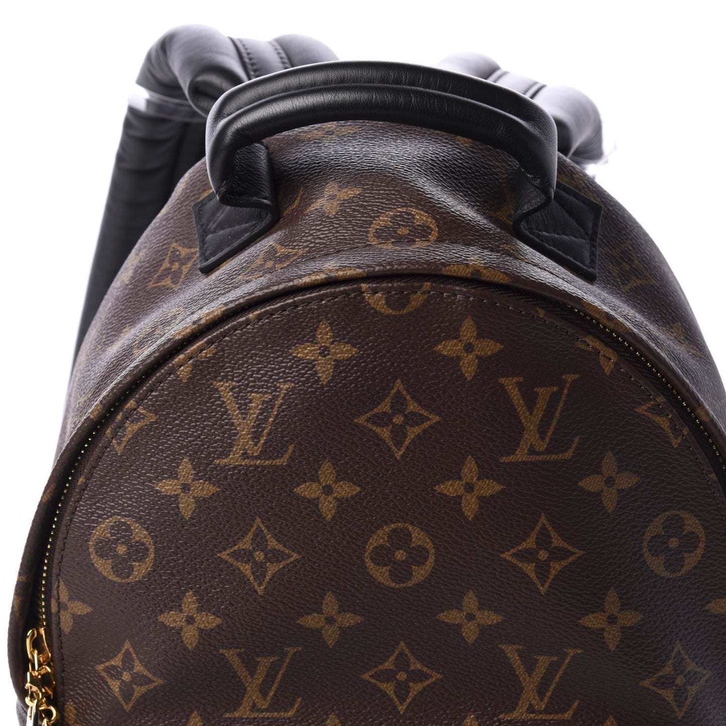 Monogram Palm Springs Backpack PM