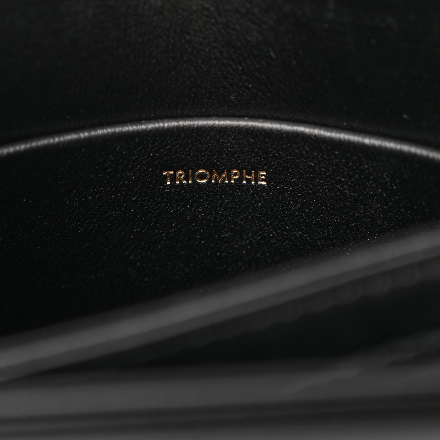 Celine Shiny Calfskin Teen Triomphe Black 9 of 12