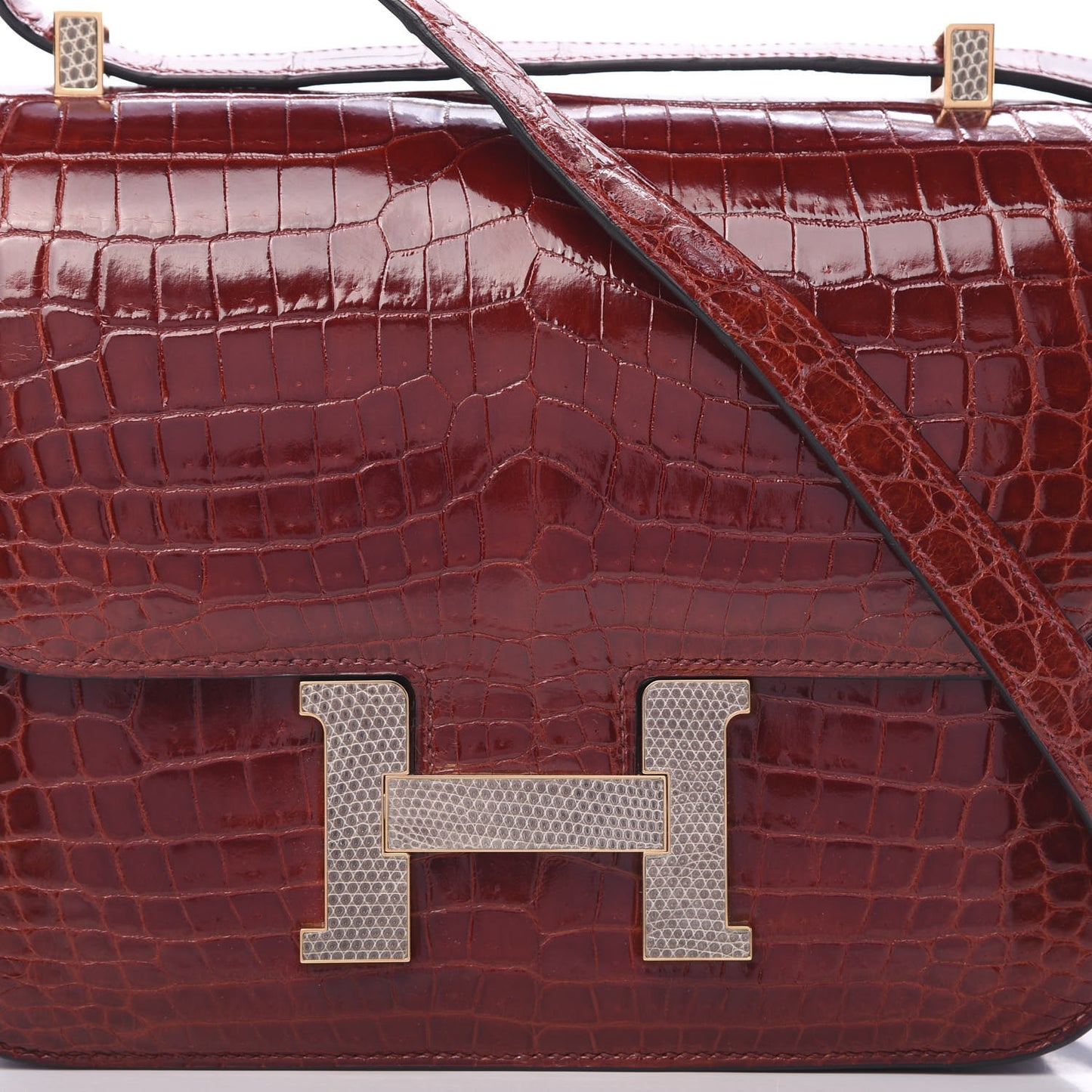 Shiny Niloticus Crocodile Lizard Marquette Constance 24 Rouge H