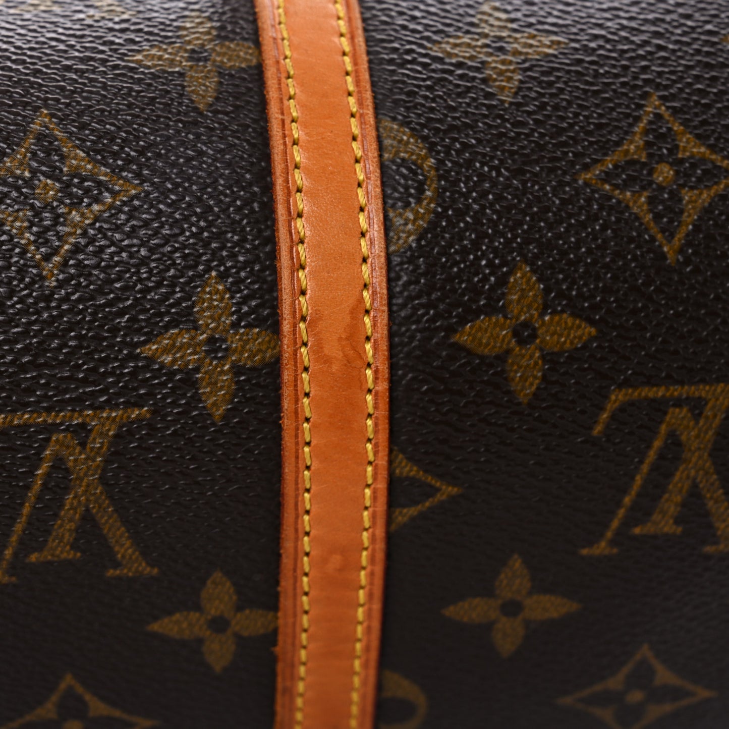 Monogram Papillon 30 With Companion