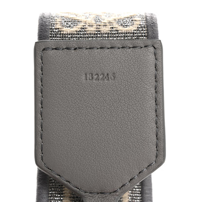 Loewe Calfskin Jacquard Anagram Strap Silver 5 of 6
