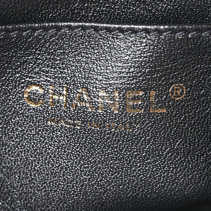 Chanel Metallic Calfskin Snakeskin Chevron Quilted Backpack Black Silver 6 of 11