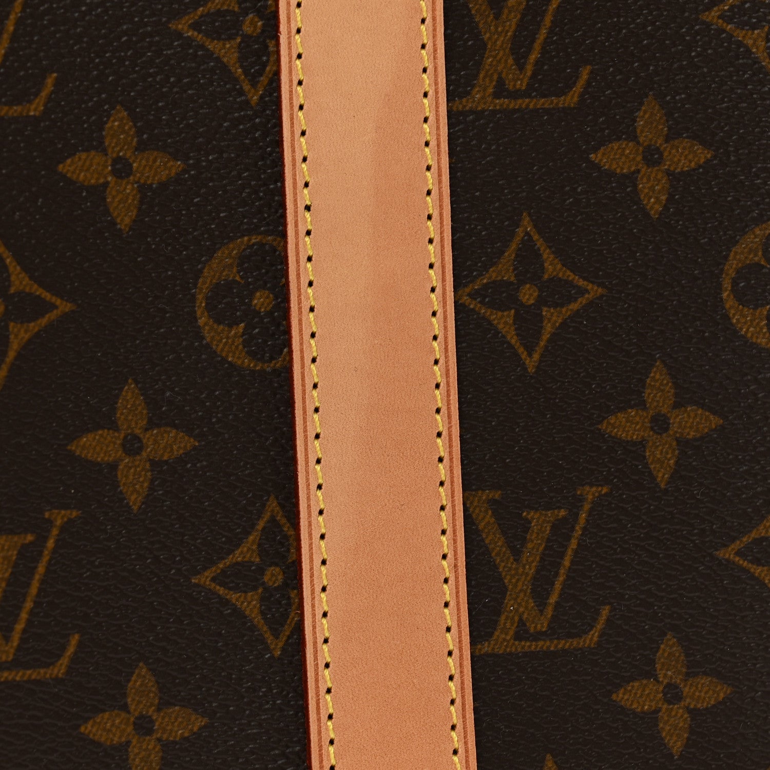 Louis Vuitton Monogram Dog Carrier 45 13 of 13