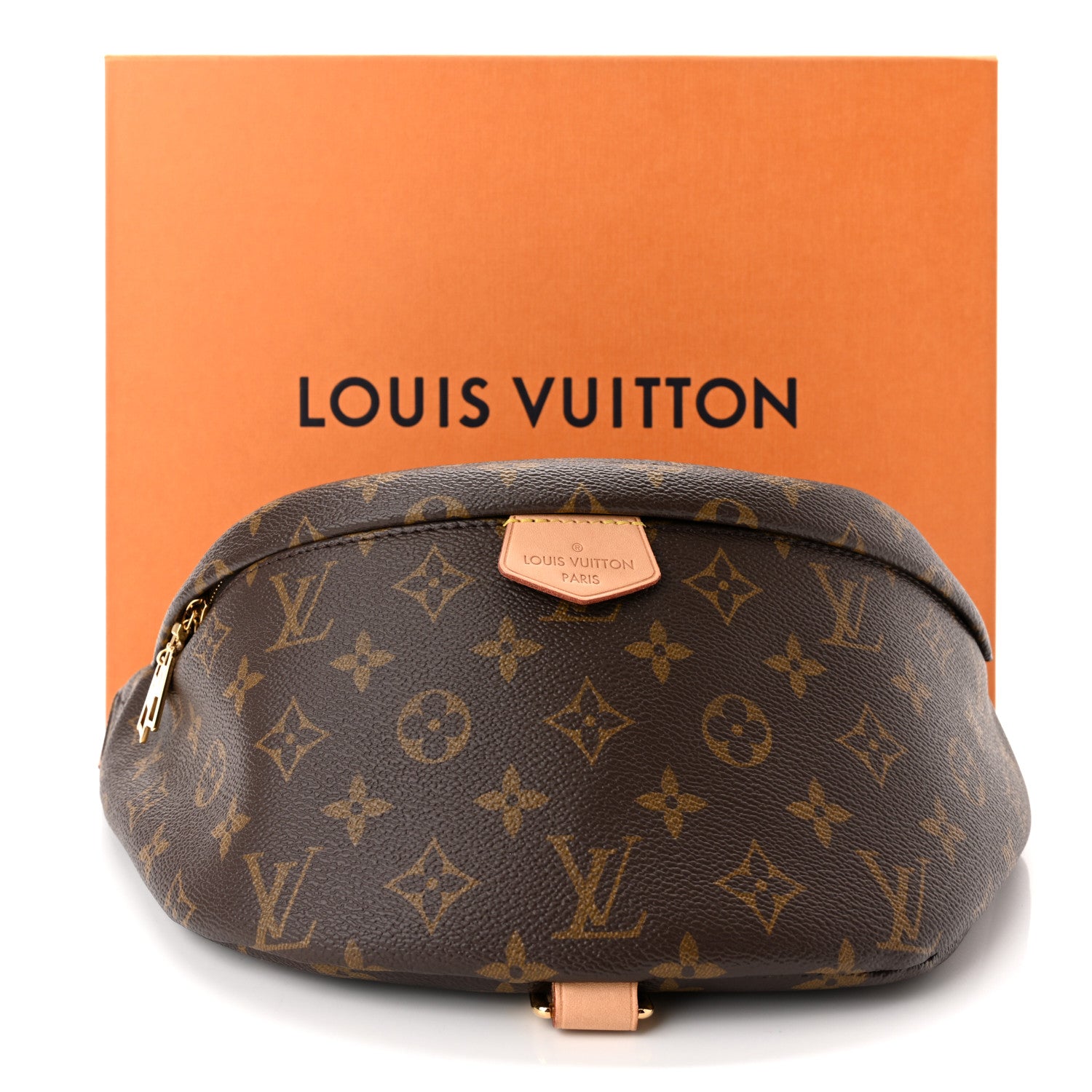 Louis Vuitton Monogram Bumbag 10 of 10