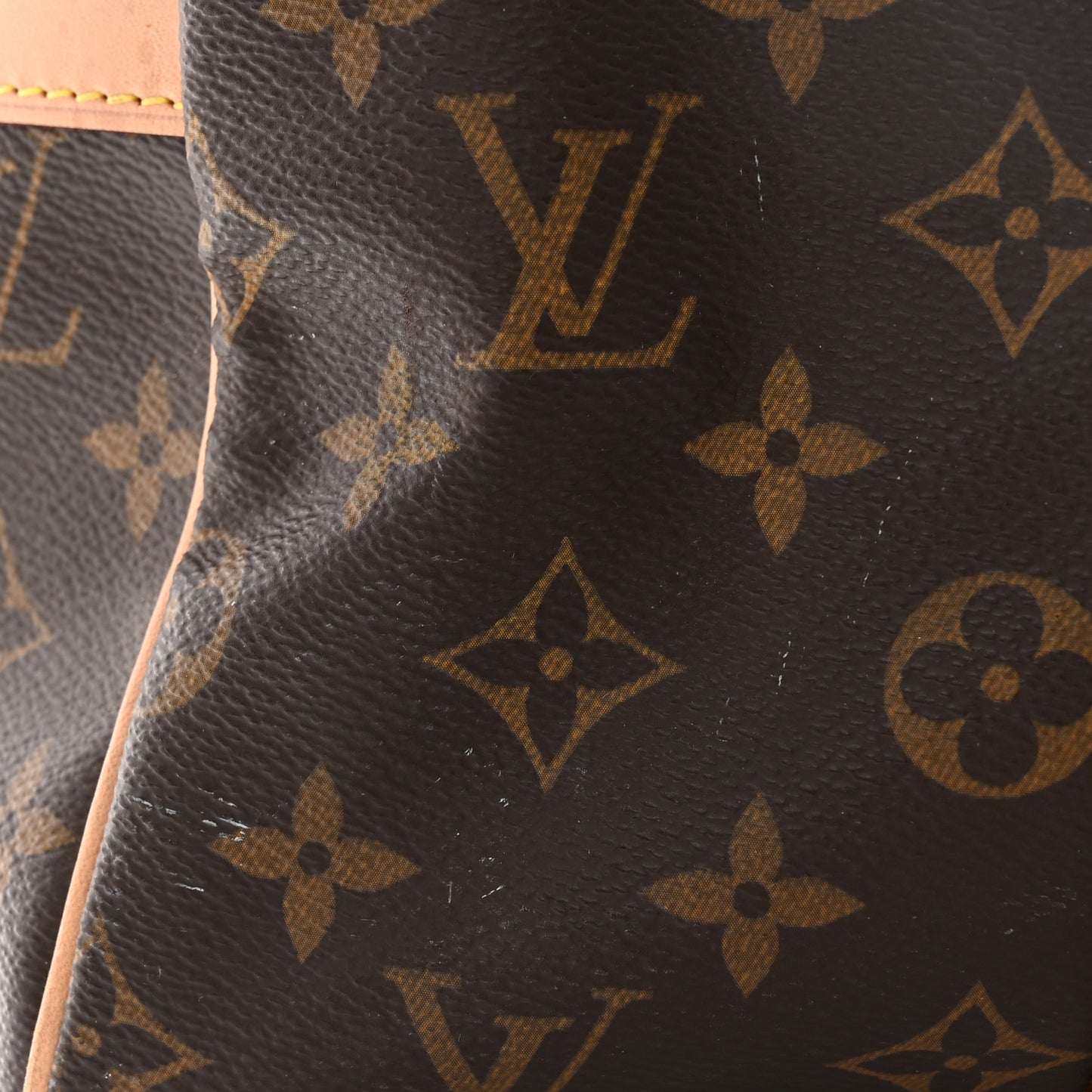 Monogram Carryall