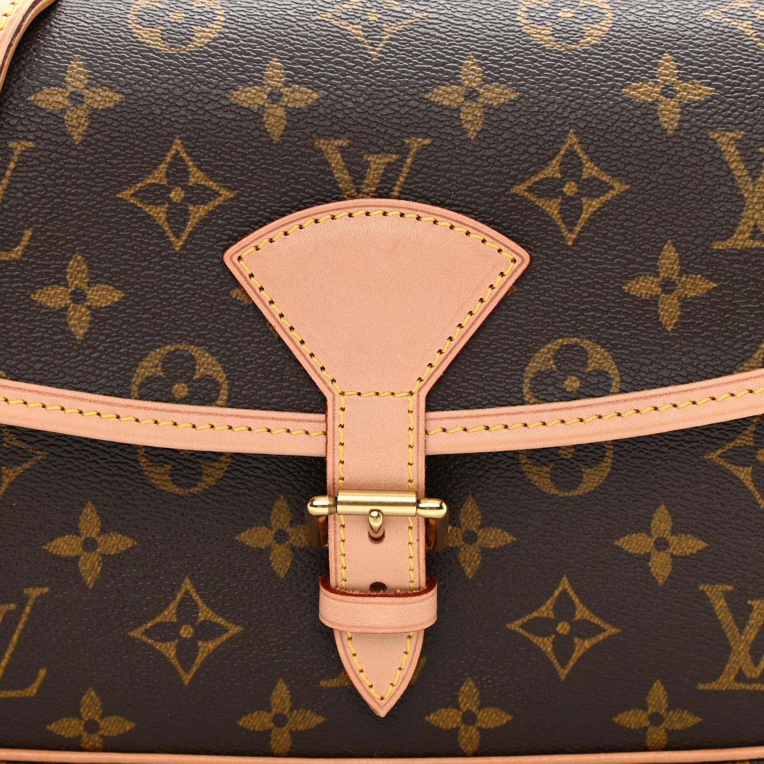 Louis Vuitton Monogram Sologne 8 of 8
