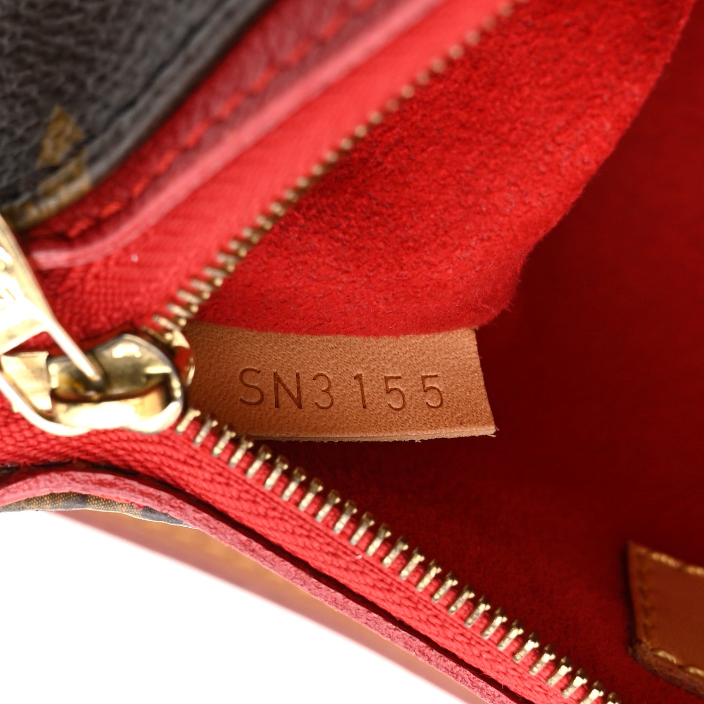 Monogram Nano Pallas Cherry