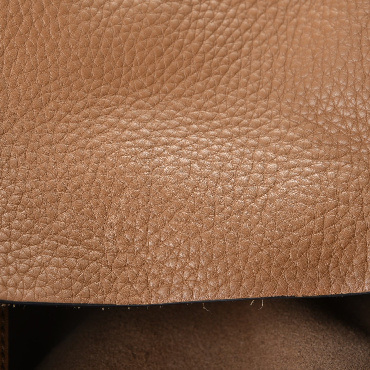Grainy Calfskin Large Ashby Hobo Sand