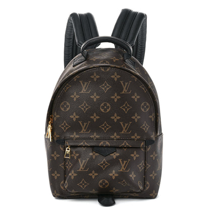 Louis Vuitton Monogram Palm Springs Backpack PM 1 of 11