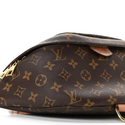 Louis Vuitton Monogram Bumbag 10 of 19