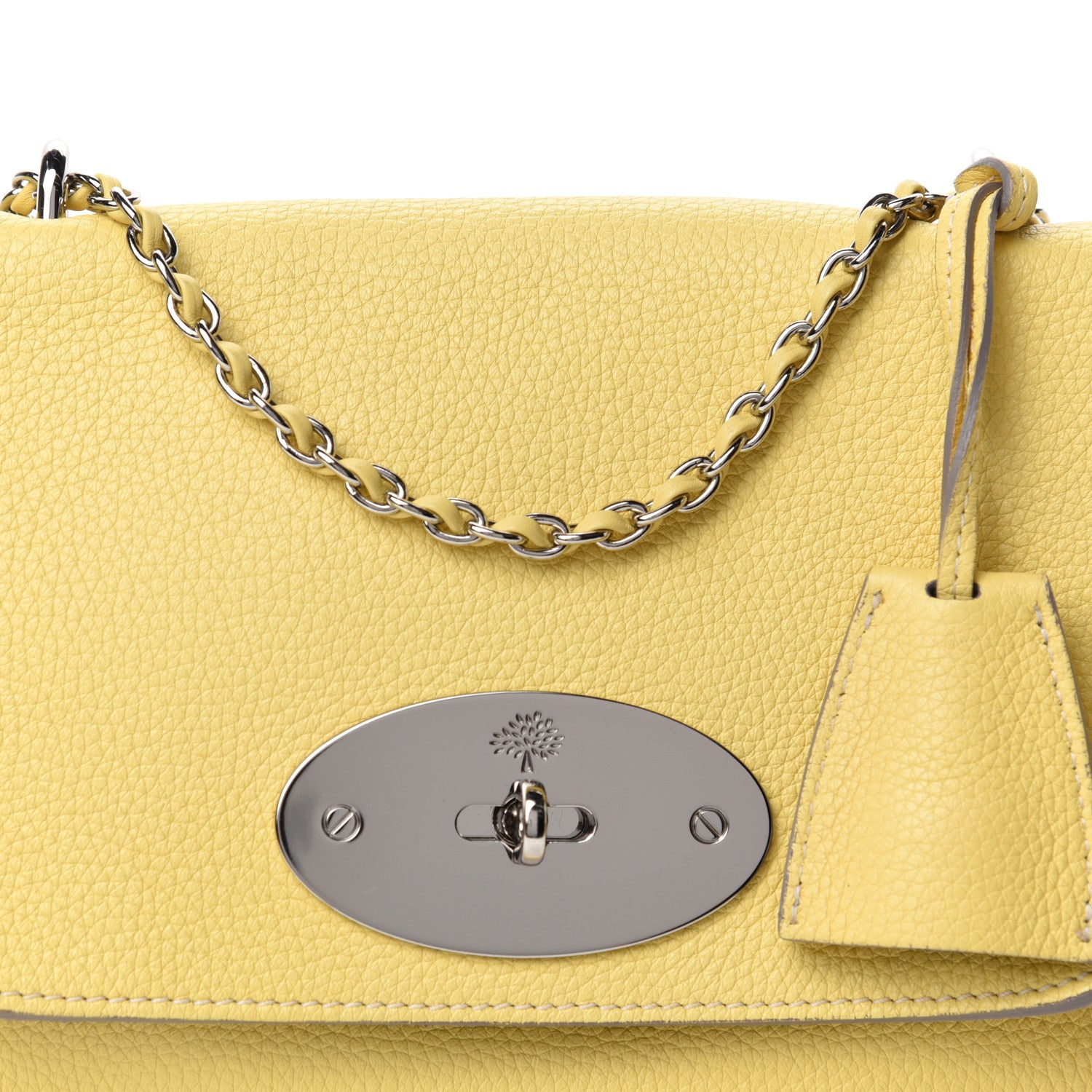 Mulberry Glossy Goatskin Small Lily Flap Pistachio 11 of 11