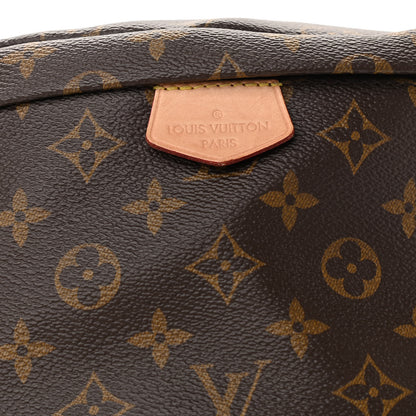 Louis Vuitton Monogram Bumbag 7 of 10