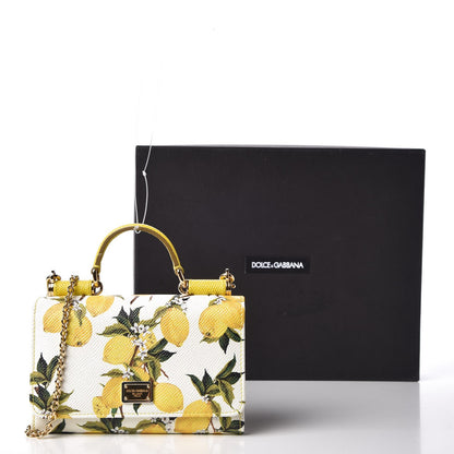 Dolce & Gabbana Dauphine Lemon Print Wallet On Chain Yellow White 9 of 9