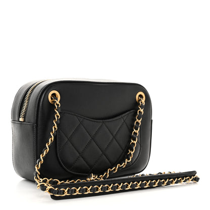 Chanel Goatskin Quilted 19 Camera Case Black 3 of 10
