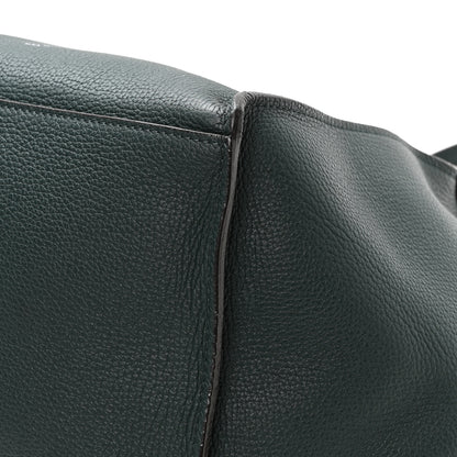 Celine Supple Grained Calfskin Small Big Bag Amazone 10 of 12
