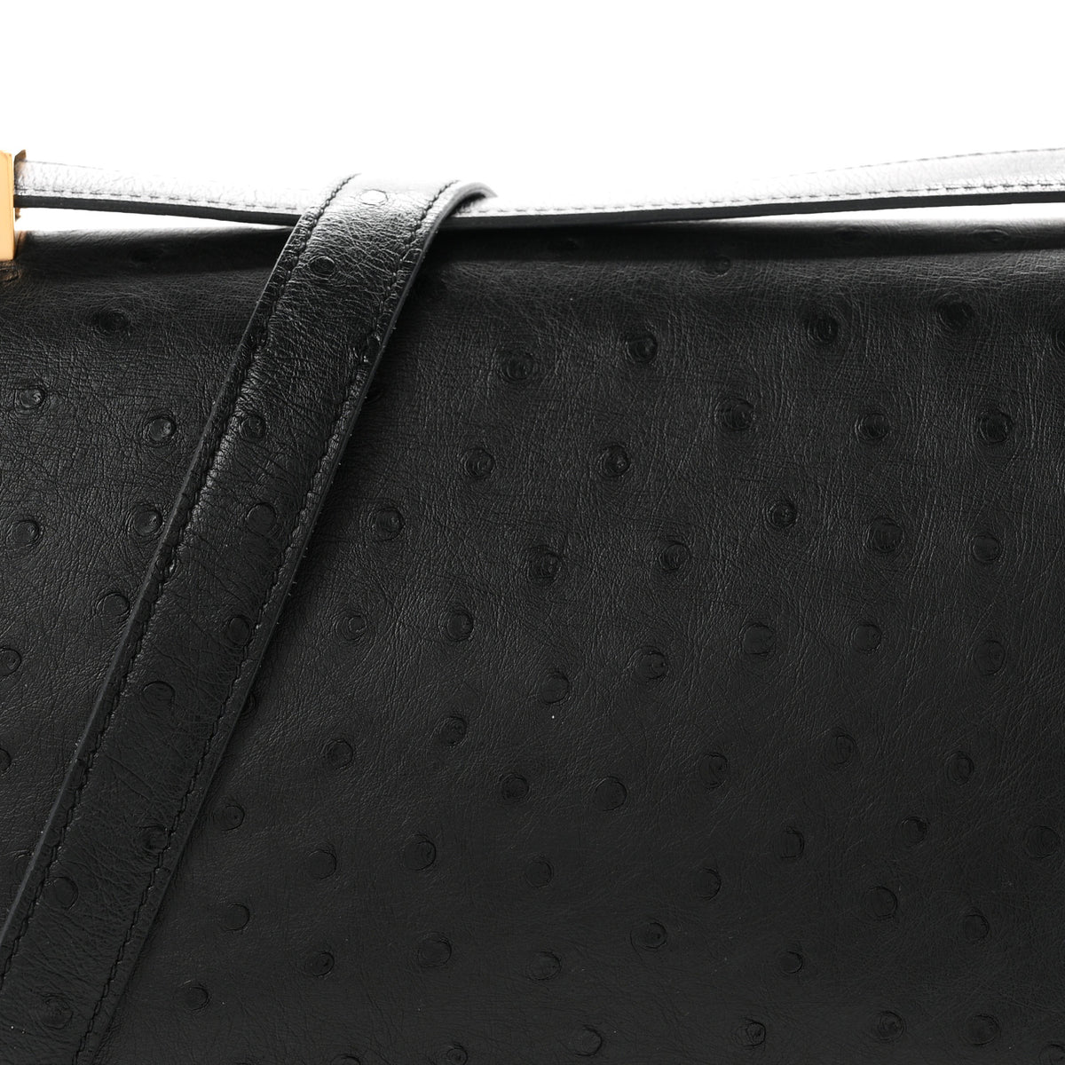 Ostrich Constance 24 Black