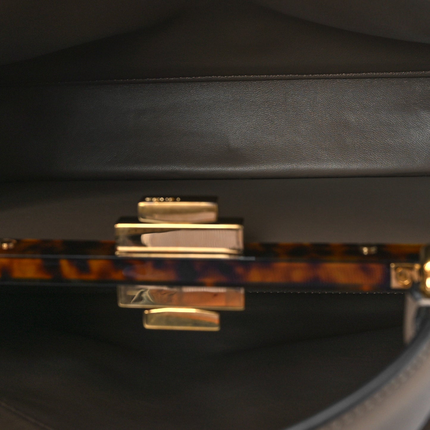 Vitello Seta Shiny Nappa Plexiglass Medium Peekaboo I SEE U Satchel Tortora