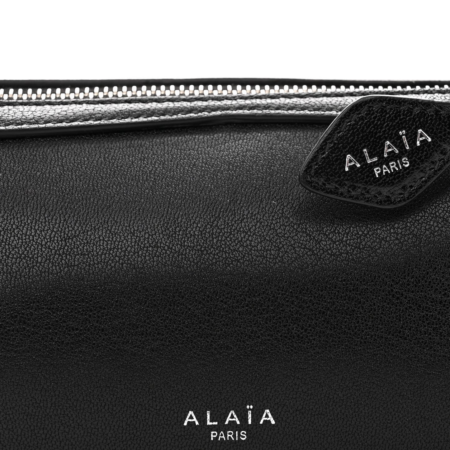 Goatskin Small Le Teckel Bag Black