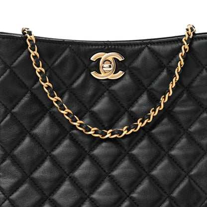 Chanel Lambskin Quilted Small Pearl Crush Hobo Black 5 of 13