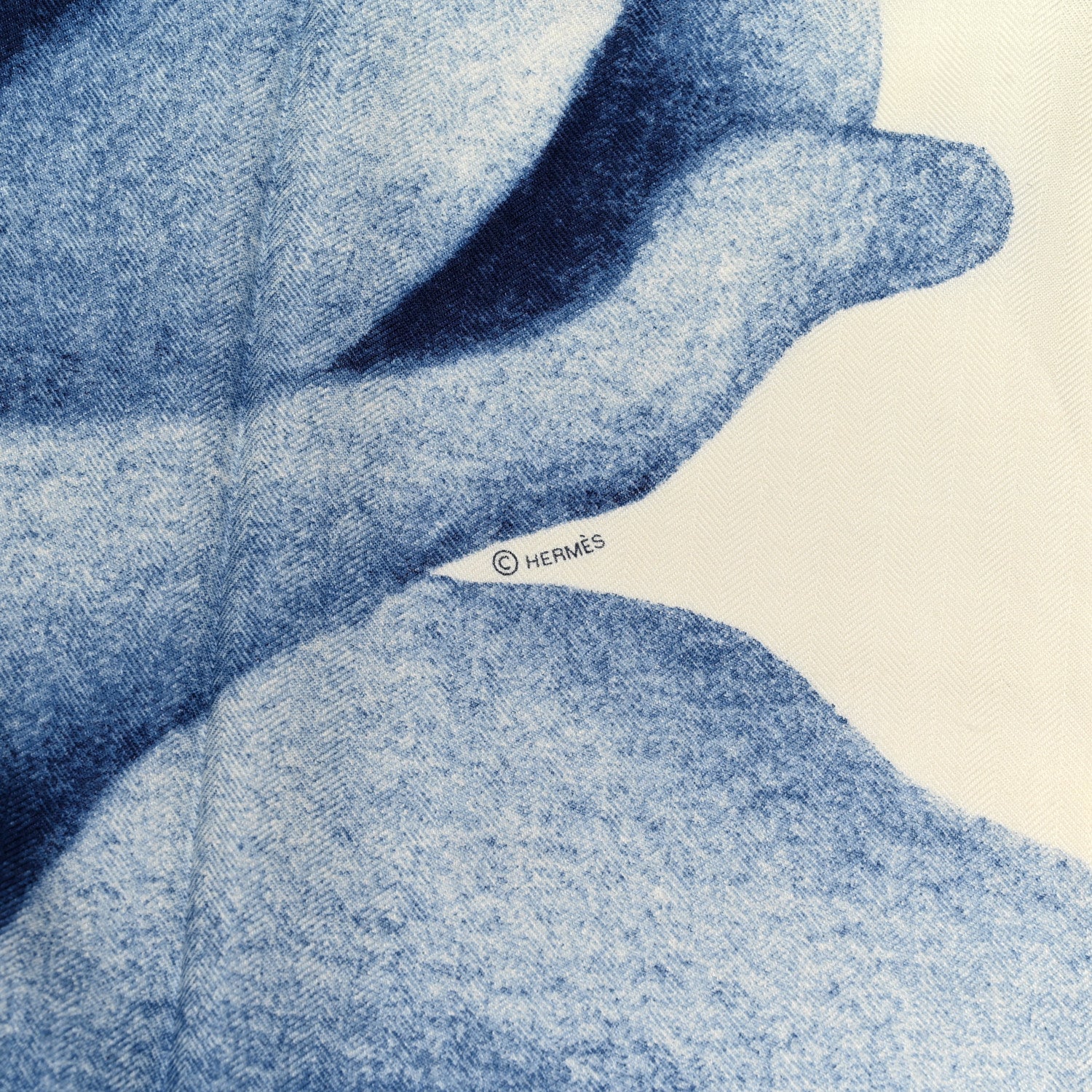 Hermes Cashmere Silk Une Rose Pour Alma Shawl 140 5 of 7