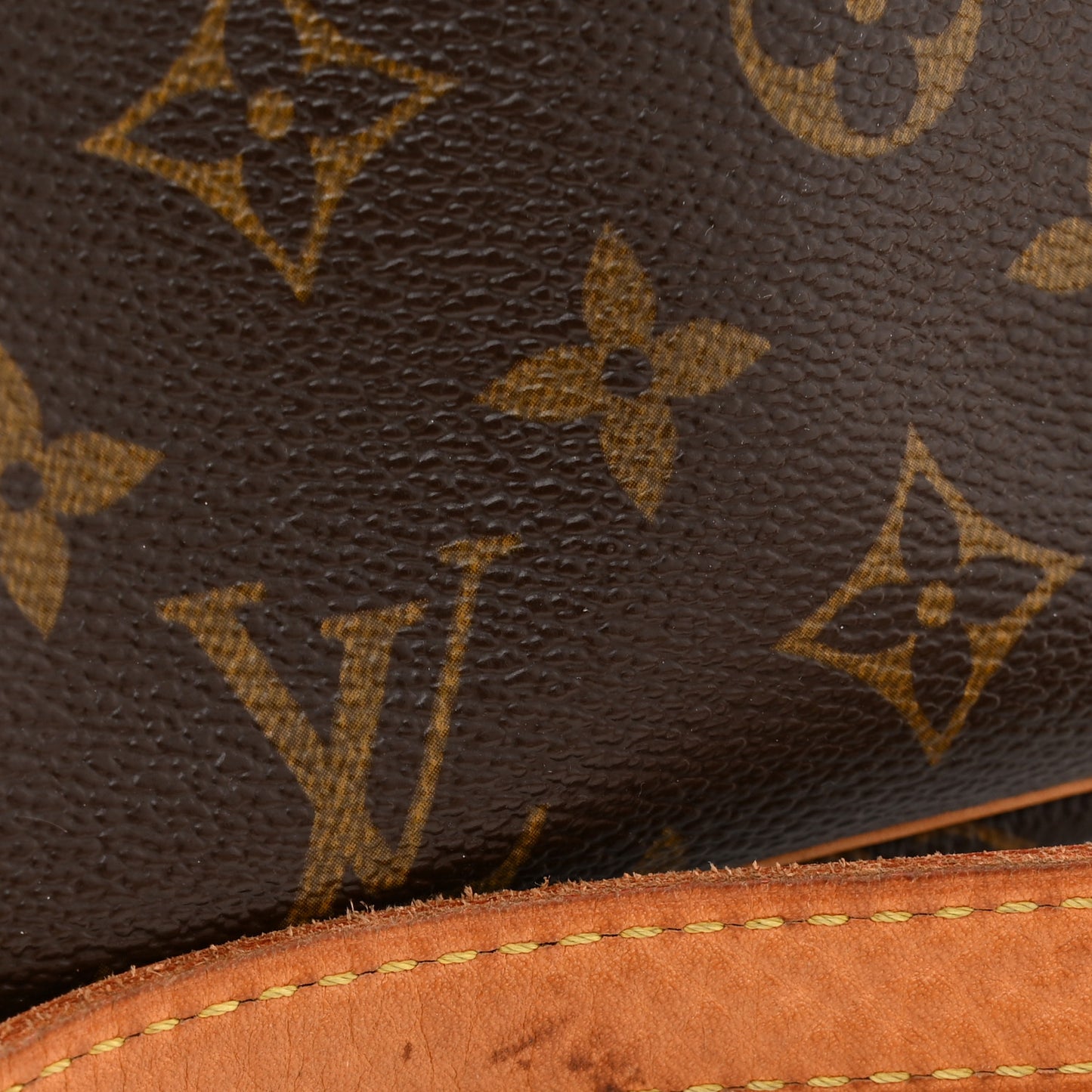 Monogram Viva-Cite PM