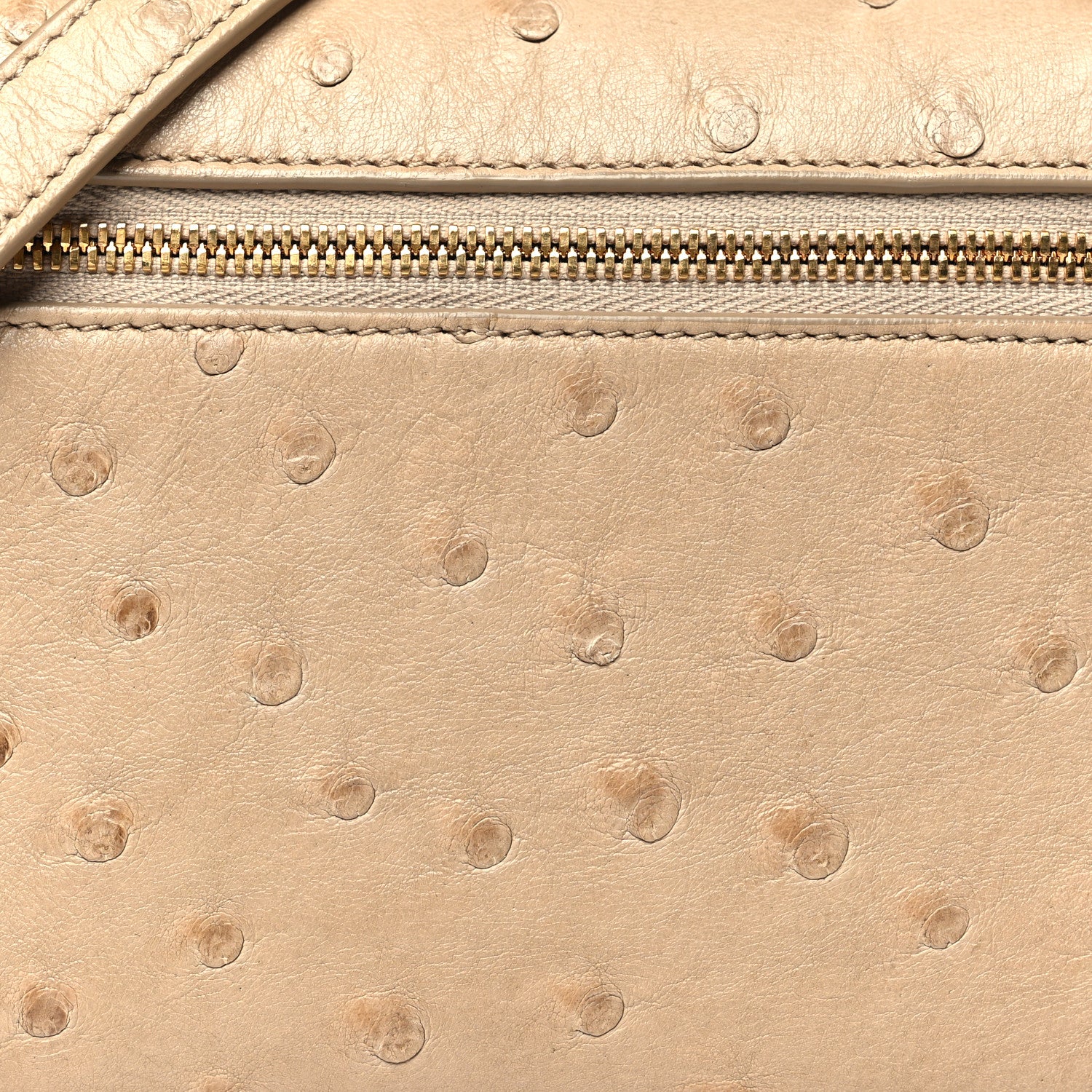 Loro Piana Ostrich L19 Extra Pocket Pouch Beige 7 of 9