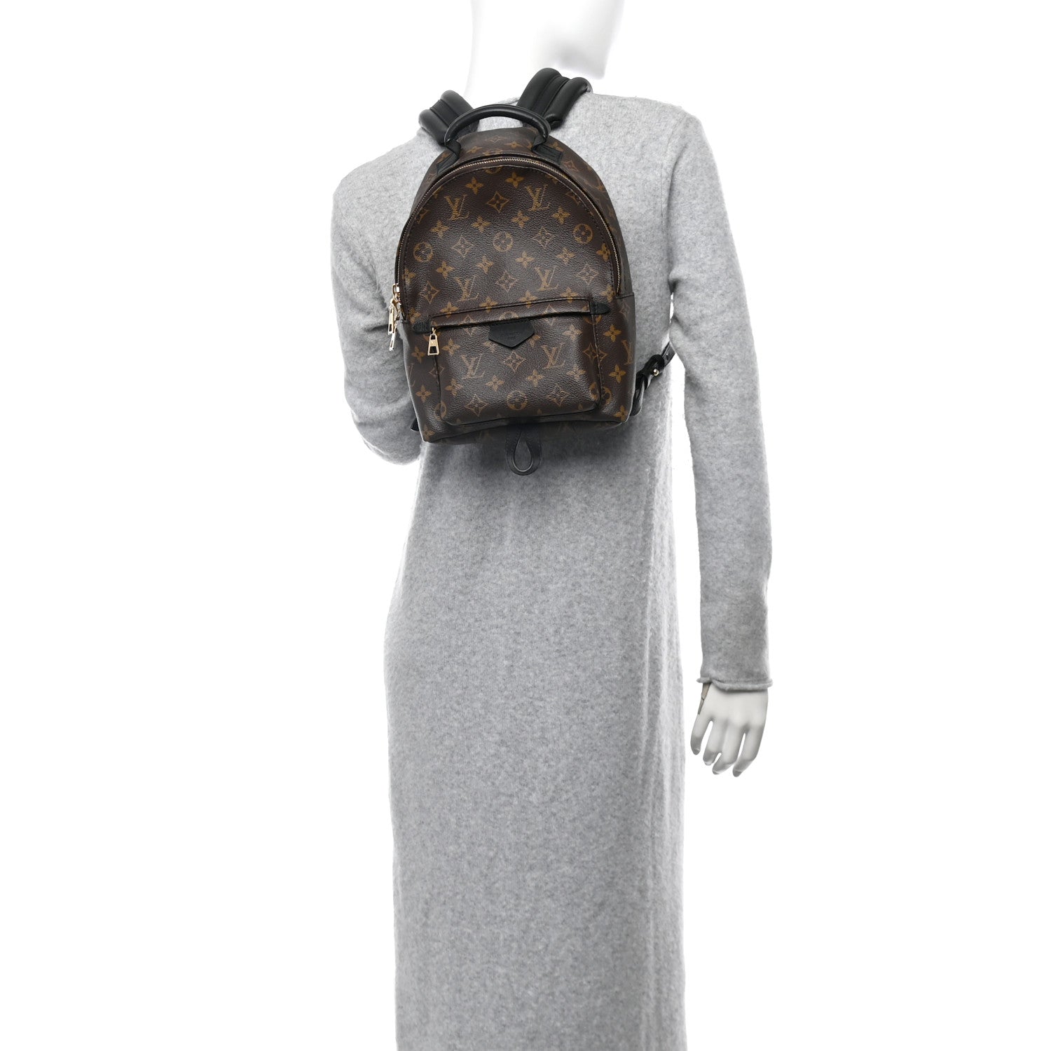 Louis Vuitton Monogram Palm Springs Backpack PM 2 of 10